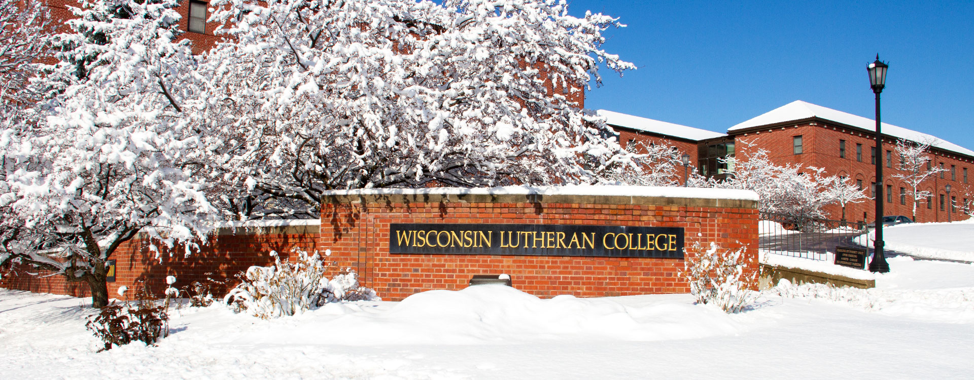 WLC sign in winter